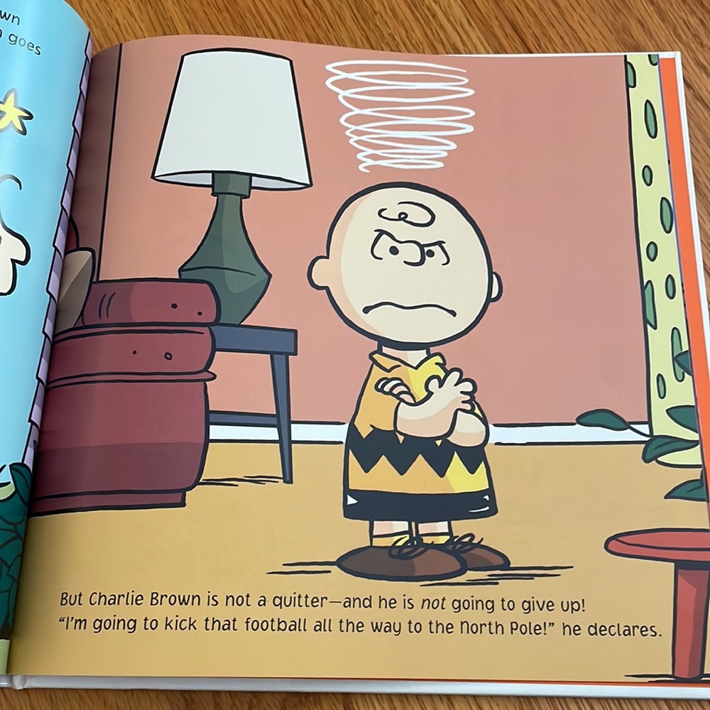 3 Peanuts Books - Picture 10 of 11